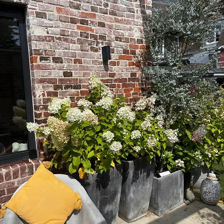 Couette-café D'hôtes