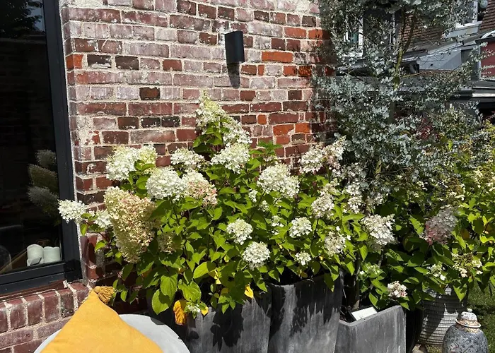 Couette-café D'hôtes